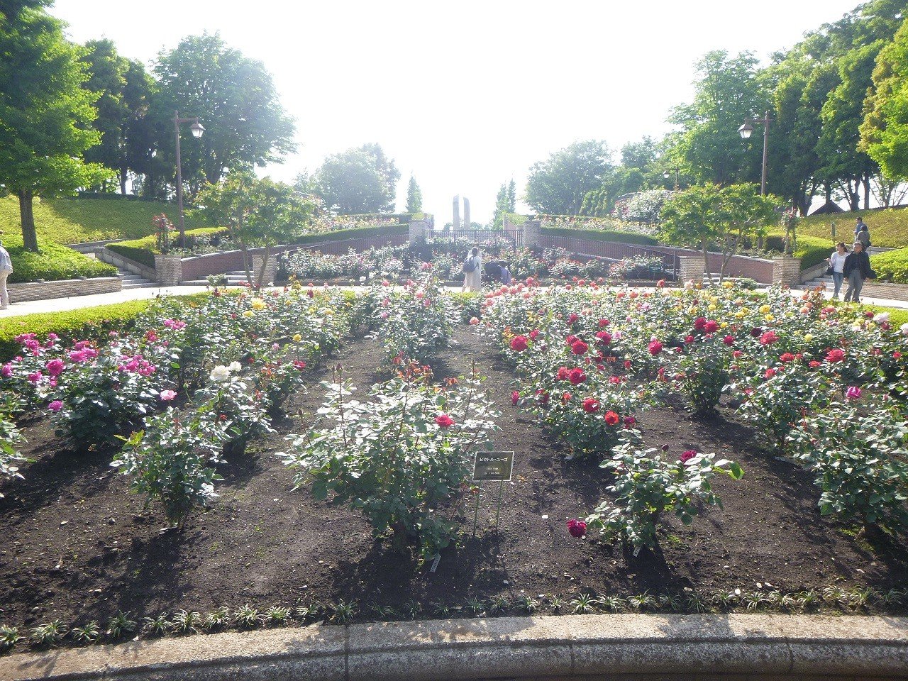 🌳 아키루다이 공원